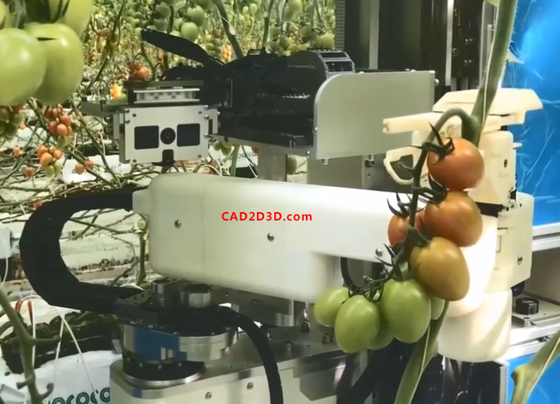番茄自动化采摘AI机器人 利用视觉相机识别番茄