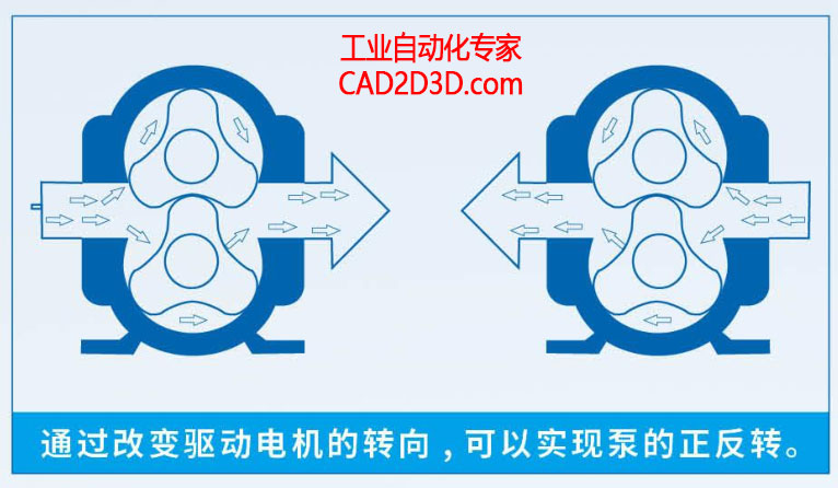 凸轮转子泵内部构造、原理和特点详述