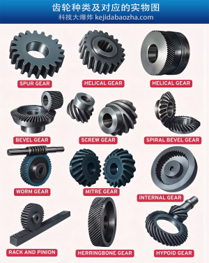 齿轮种类及对应的实物图，各种齿轮名称中英文对照